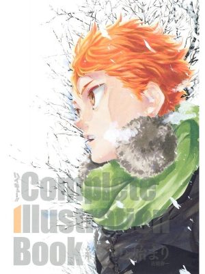 Artbook Haikyuu Complete Illustration Book