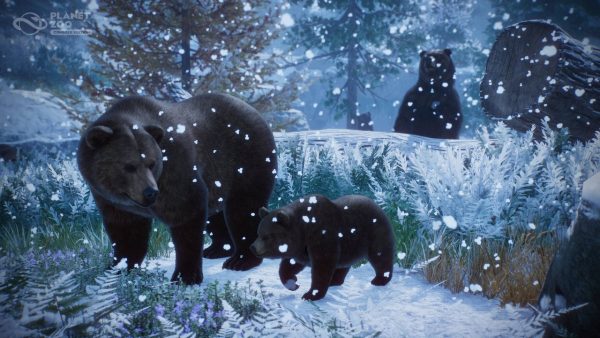 Planet Zoo: Console Edition SERIES X/S