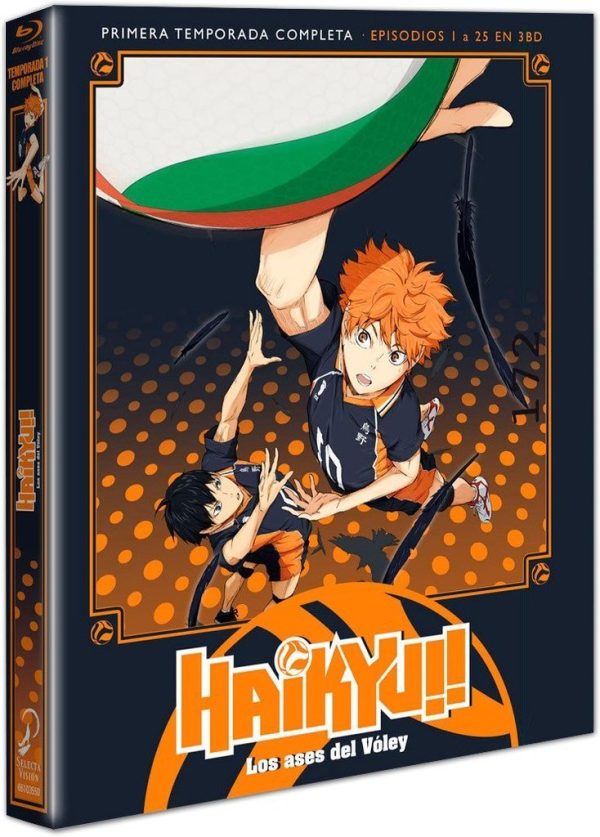 Haikyu!! Los Ases del Voley Temporada 1 Completa BR