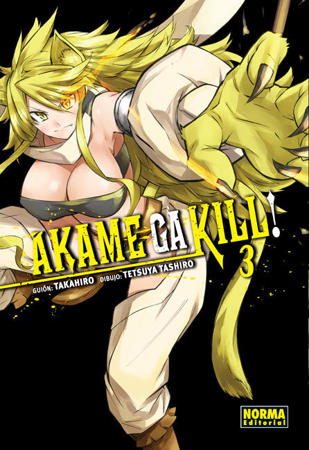 Akame Ga Kill Nº03