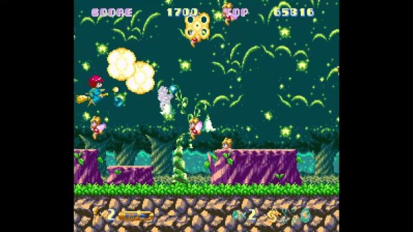 Cotton 100% - Collector's Edition SWITCH