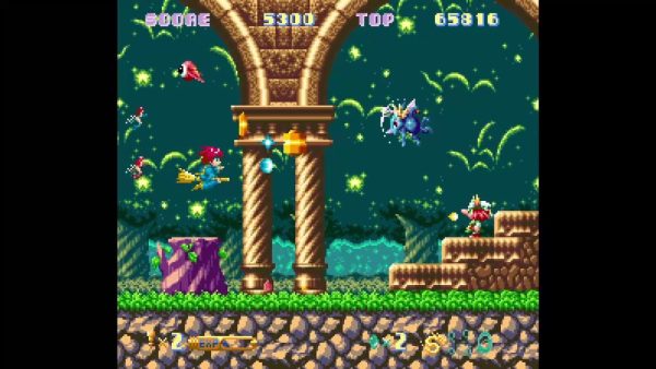 Cotton 100% - Collector's Edition SWITCH