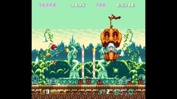 Cotton 100% - Collector's Edition SWITCH