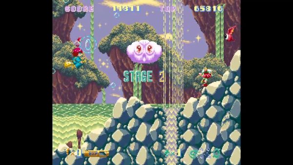 Cotton 100% - Collector's Edition SWITCH