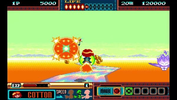 Panorama Cotton - Collector's Edition SWITCH