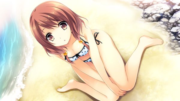 If My Heart Had Wings SWITCH (Importación)