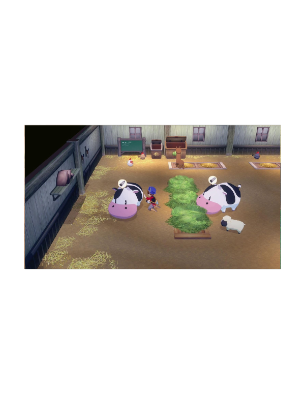 Story of Seasons: Grand Bazaar SWITCH 2