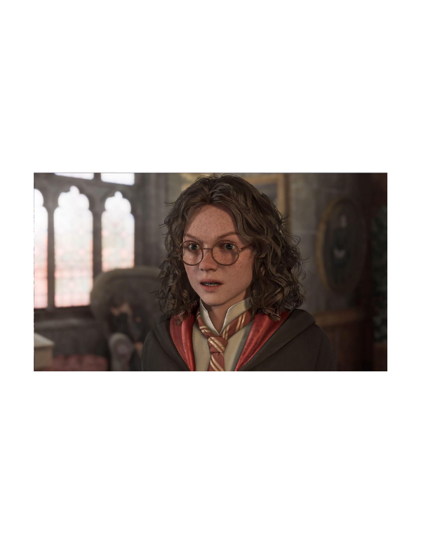 Hogwarts Legacy SWITCH 2