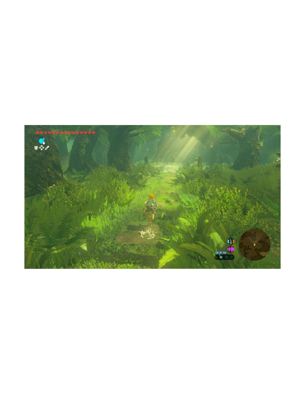 The Legend of Zelda: Breath of the Wild - Nintendo SWITCH 2 Edition