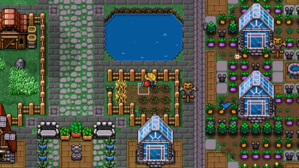 Cattle Country SWITCH