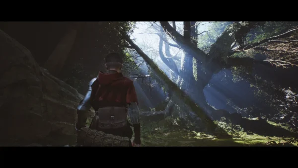 1348 Ex Voto Limited Edition