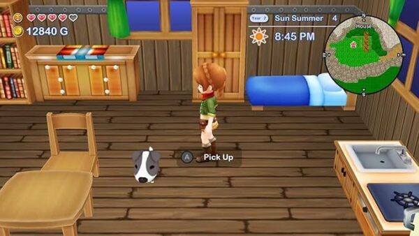 Harvest Moon: The Lost Valley & Skytree Village Collectors Edition SWITCH