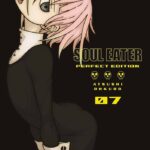 Soul Eater Perfect Edition Nº07 de 17